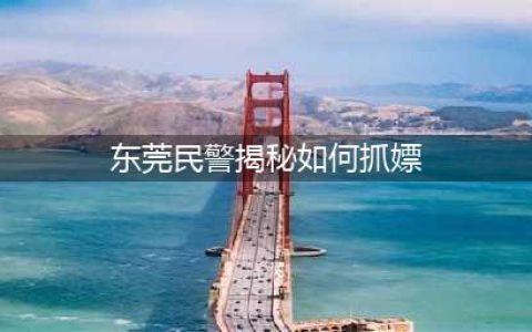 东莞民警揭秘如何抓嫖:几乎没遇过反抗现象(东莞民警揭秘如何抓嫖)