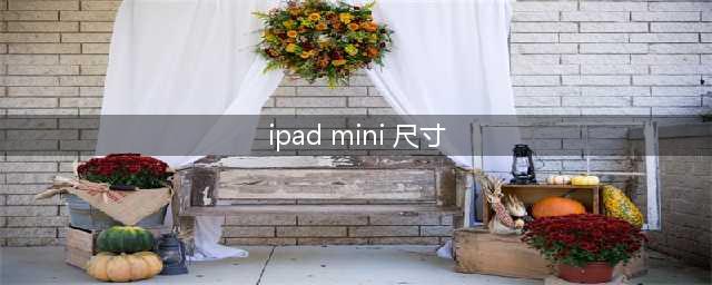 ipad mini屏幕尺寸都一样吗？ipad mini都是一样大吗?(ipad mini 尺寸)