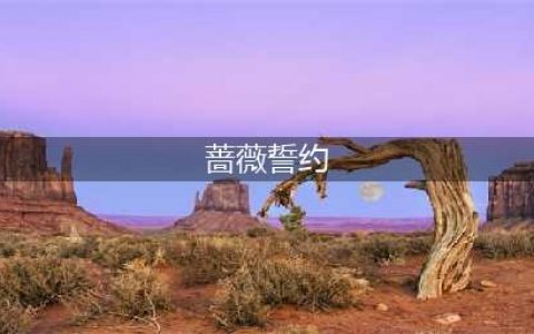 《漫威超级战争》幻视浪漫之约皮肤怎么样 浪漫之约皮肤外观展示(蔷薇誓约)
