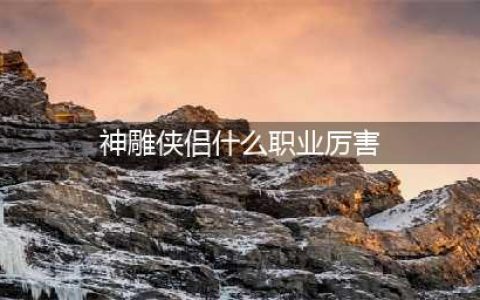 神雕侠侣玩什么职业好(神雕侠侣什么职业厉害)