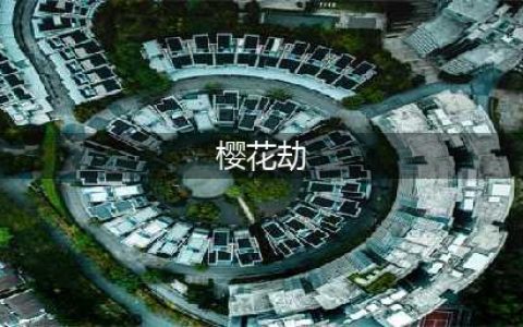 《DNF》樱花劫护石怎么样 作用效果预览(樱花劫)