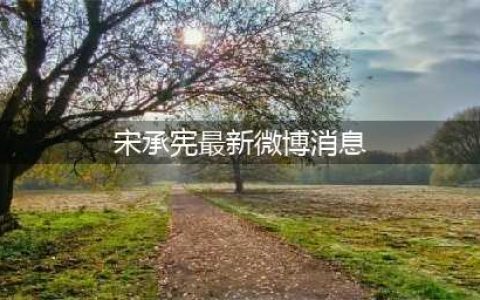 刘亦菲唯一公开过的男友宋承宪如今咋样了？用拍戏疗伤，暂无绯闻(宋承宪最新微博消息)