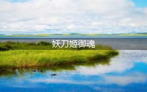 《阴阳师》妖刀姬御魂怎么搭配 妖刀姬御魂搭配教学(妖刀姬御魂)