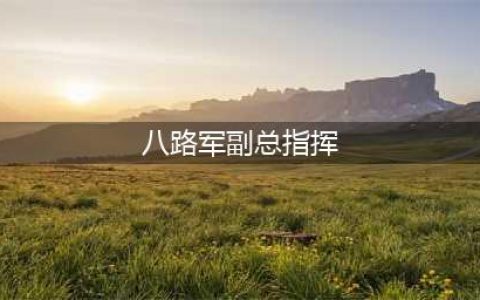 八路军新四军，六位正副参谋长，都是什么军衔？(八路军副总指挥)