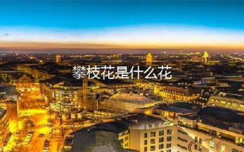 四川攀枝花市居然是因花得名，那么攀枝花是什么花？你很可能见过(攀枝花是什么花)
