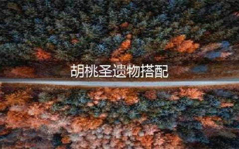 原神胡桃2023圣遗物搭配攻略
