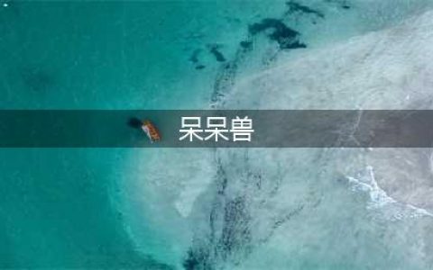 《宝可梦大探险》怎么当呆呆兽成功进化 呆呆兽进化方法(呆呆兽)
