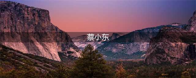 【弘扬劳模精神 引领时代发展】全国五一劳动奖章获得者蔡小东：电力维运工匠心(蔡小东)