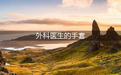 《魔兽怀旧服》外科医生的手套属性是什么 外科医生的手套属性分享(外科医生的手套)