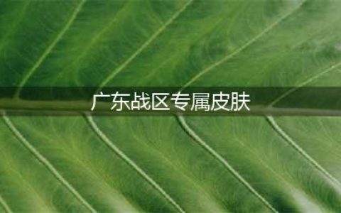 《王者荣耀》广东战区专属皮肤有哪些 广东战区专属皮肤一览(广东战区专属皮肤)