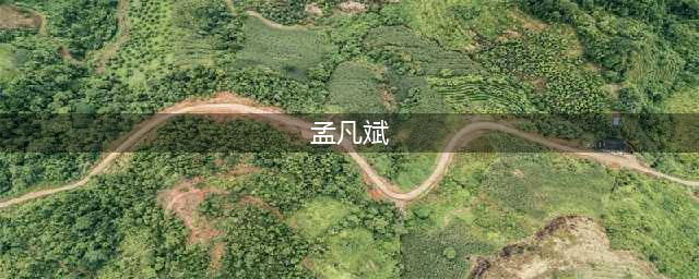 一线明星为诈骗犯站台，脸都不要了？(孟凡斌)