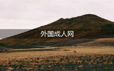 十大不可错过的高质量外国色情网站及背后的故事(外国成人网)