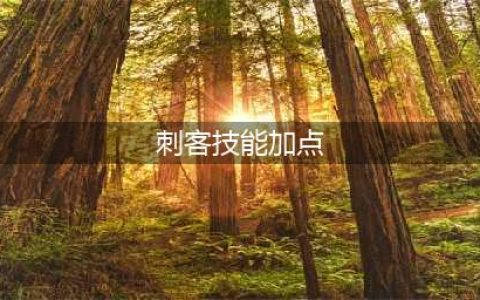 《DNF》2021刺客技能攻略 加点详细介绍(刺客技能加点)
