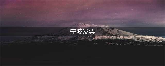宁波如何开电子发票,开电子发票/餐饮住宿/加油费(宁波发票)
