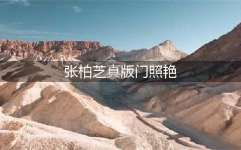张柏芝陈冠希艳照门后又曝飞机门(图)(张柏芝真版门照艳)