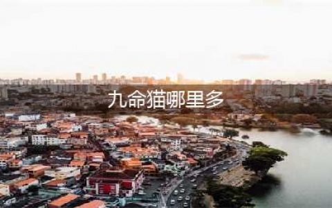 阴阳师游戏里面哪里九命猫多 九命猫刷取关卡(九命猫哪里多)