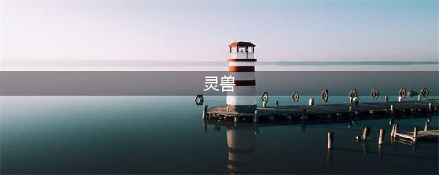 四大神兽、四大圣兽、四大灵兽、四大瑞兽(灵兽)
