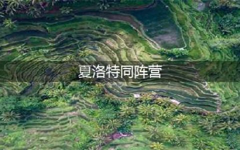 《王者荣耀》夏洛特同阵营英雄有哪些 夏洛特同阵营英雄汇总(夏洛特同阵营)