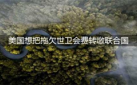 美国想把拖欠世卫会费转缴联合国#(美国想把拖欠世卫会费转缴联合国)