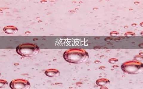 英雄联盟手游熬夜波比技能一览