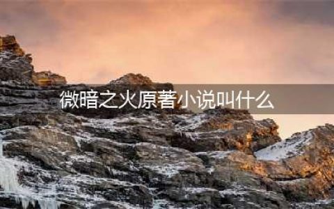微暗之火原著小说叫什么？小南风讲的什么？(微暗之火原著小说叫什么)