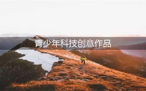 第34届全国青少年科技创新大赛科技创新作品(青少年科技创意作品)