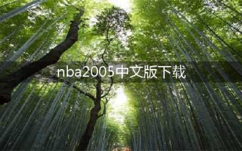 NBA2K15下载中文版2022 NBA2K15下载教程(nba2005中文版下载)