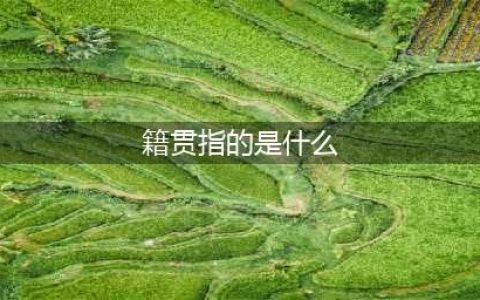 “籍贯”是什么？我们为啥要填写“籍贯”？它还有存在的意义吗？(籍贯指的是什么)