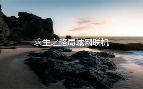 《求生之路》局域网联机方法 局域网怎么联机(求生之路局域网联机)