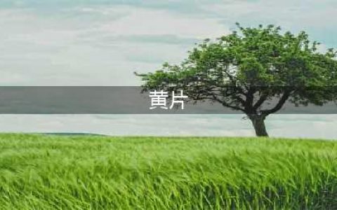 色情片女星酒后吐真言：我为白俄罗斯工作！波兰当局已将其逮捕(黄片)