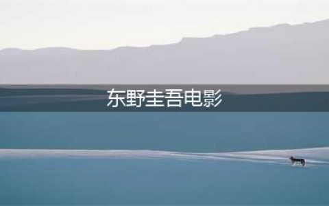 48部东野圭吾作品改编的影视剧合辑，拯救剧荒！(东野圭吾电影)