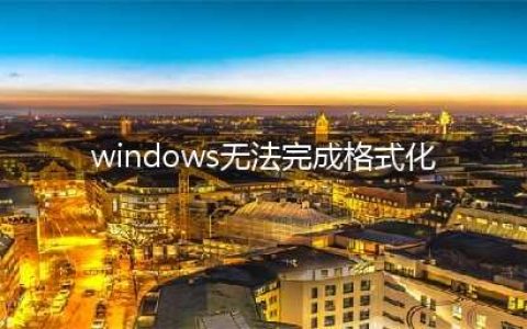 U盘无法格式化怎么办?(windows无法完成格式化)