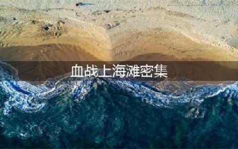 血战上海滩秘籍大全 血战上海滩秘籍怎么输入(血战上海滩密集)
