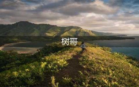 抖音爆火的Hello树先生，深度解析，没看懂的快进来(树哥)