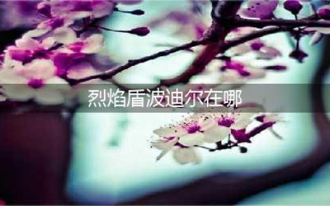dnf火属性强化宝珠有哪些 火属性强化宝珠详细介绍(烈焰盾波迪尔在哪)