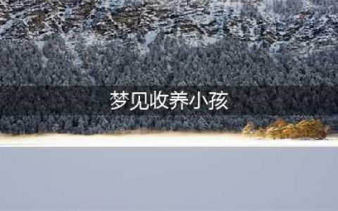 周公解梦梦见小孩,梦见自己抱着小孩,梦见抱着小孩,是什么意思有什么预兆(梦见收养小孩)