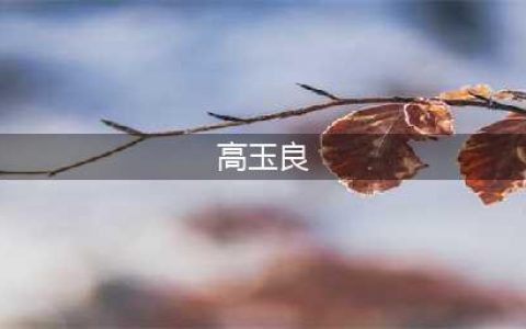 高玉良老谋深算，为何斗不过李达康？高手过招容不得半点失误(高玉良)