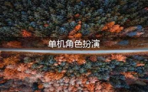 安卓单机角色扮演游戏推荐2021 十大角色扮演单机手游排行榜(单机角色扮演)