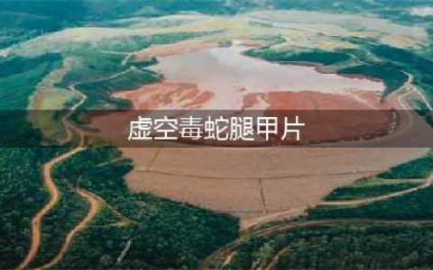 虚空毒蛇腿甲片材料(虚空毒蛇腿甲片)