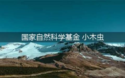 2024 年度国家自然科学基金项目形式审查明细表(国家自然科学基金 小木虫)