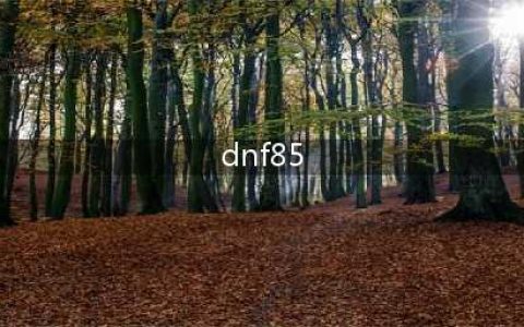 dnf哪个是最强85 dnf十套85史诗伤害哪个高(dnf85)