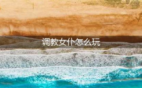 主人雅蠛蝶 《X战娘》最美女仆调教攻略