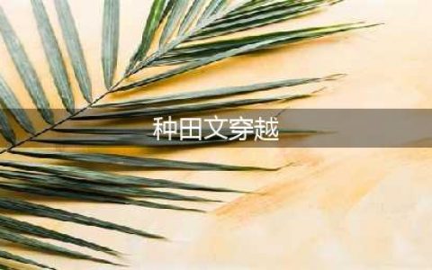 8本好看的穿越种田文推荐：穿越农家娘子，倾富天下！(种田文穿越)