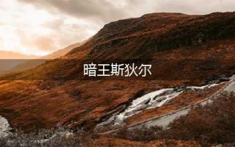 《DNF》超时空之战超详细副本攻略 全房间boss机制打法汇总(暗王斯狄尔)