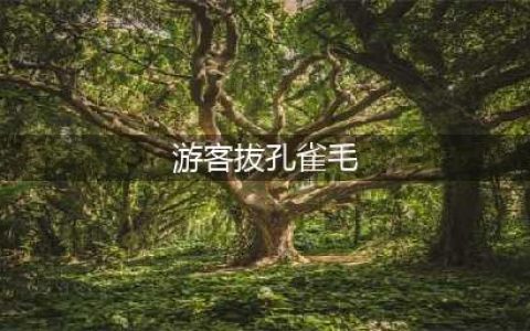 游客拔孔雀毛 不只是一个道德题(游客拔孔雀毛)