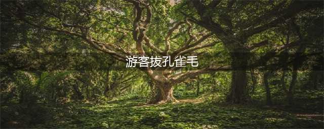 游客拔孔雀毛 不只是一个道德题(游客拔孔雀毛)
