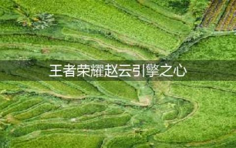 王者荣耀赵云引擎之心 王者荣耀赵云引擎之心还会返场吗