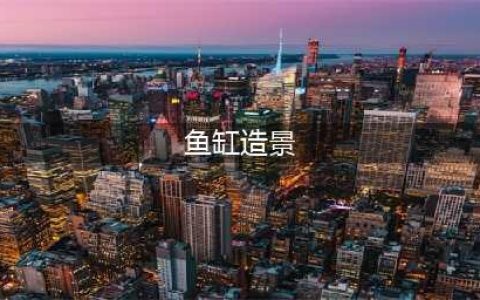 零基础搭建属于自己的生态鱼缸（设备+造景篇）(鱼缸造景)