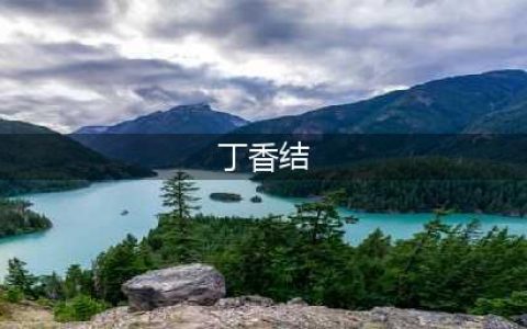 部编版六年级上册第2课《丁香结》知识点+图文解读(丁香结)