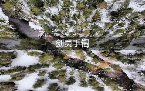 《剑灵》5.22手镯有什么改动 5月22拳师手镯改动一览(剑灵手镯)